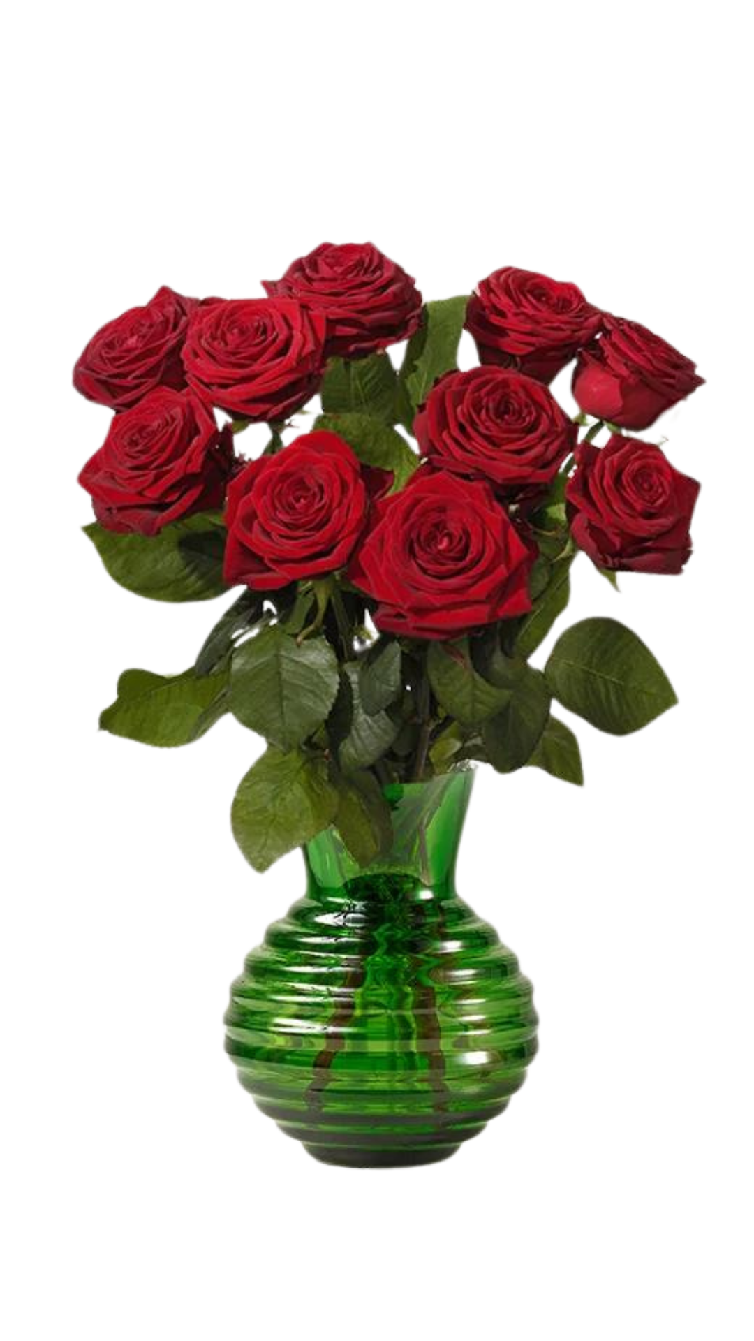 Rosor 10-pack