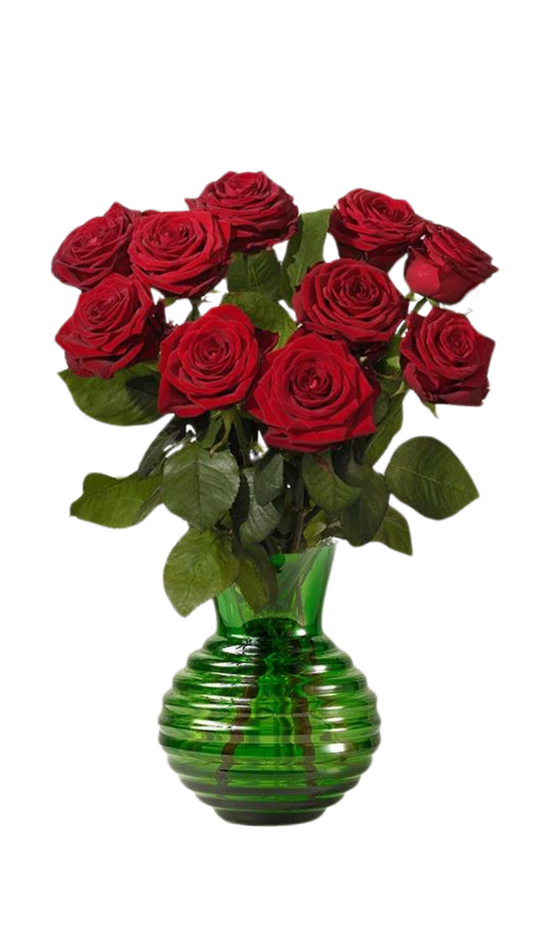 Rosor 10-pack